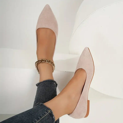 Gestroomlijnde ballerina's met spitse neus